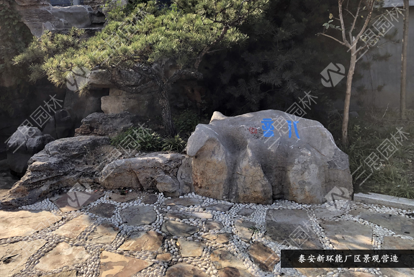 泰安新環能43.jpg