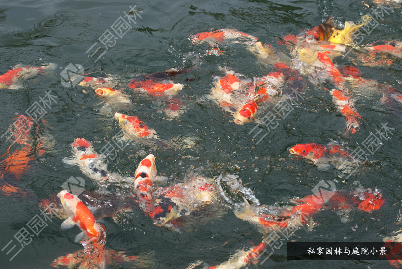 私家園林03.jpg